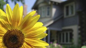 Addison Real Estate Market Conditions - March 2017 9 featured image addison mar 17