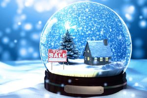 Buffalo Grove Real Estate Market Conditions November 2017 - Low Inventory Levels Continue To Suppress Sales 12 snow globe house