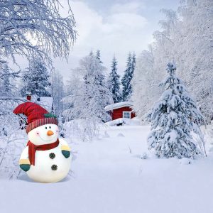 Addison Real Estate Market Conditions - December 2017 9 Addison Real Estate