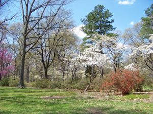 Buffalo Grove Real Estate Market Conditions - February 2018 - Sales Off To A Slow Start In 2018 1 March 2018 blog image