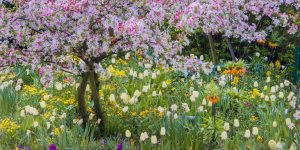 Buffalo Grove Real Estate Market Conditions - March 2018 8 March 2018 image