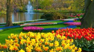 Elmhurst Real Estate Market Conditions - March 2018 - Single Family Home Inventory Continues To Shrink 7 Elmhurst Real Estate Market