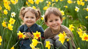 Buffalo Grove Real Estate Market Conditions - April 2018 - Good Momentum As Spring Is Here 3 April 2018 a