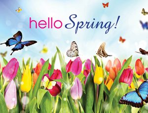 Elmhurst Real Estate Market Conditions - March 2019 6 Elmhursst real estate