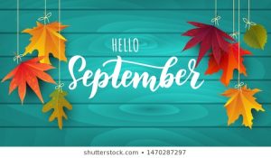 Buffalo Grove Real Estate Market Conditions - August 2020 8 September 2020 image