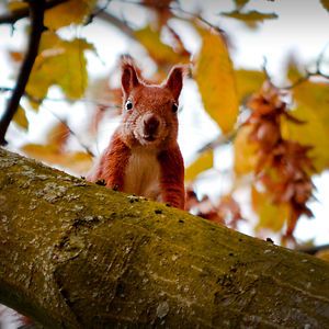 Addison Real Estate Market Conditions - September 2020 5 addison featured sept 20