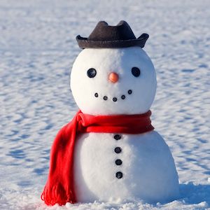 Addison Real Estate Market Conditions - January 2021 7 Addison Real Estate Market Conditions - January 2021