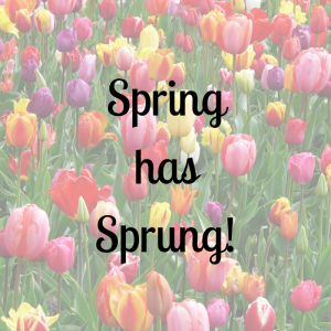 Elmhurst Real Estate Market Conditions - March 2021 11 elmhurst featured mar 21