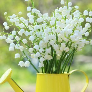 Addison Real Estate Market Conditions - April 2021 9 addison featured april 21