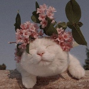 Elmhurst Real Estate Market Conditions - April 2021 8 elmhurst featured apr 21