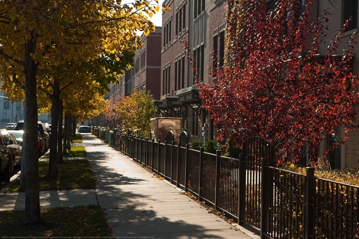 Chicago Real Estate Market News, Data, Statistics 13 homes for sale in near north side