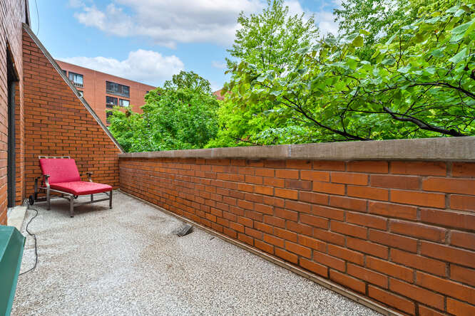 Completely Updated Corner Unit Townhome In Dearborn Park - $619,000 14 1001 S Plymouth Ct Unit D, Chicago, IL 60605 balcony