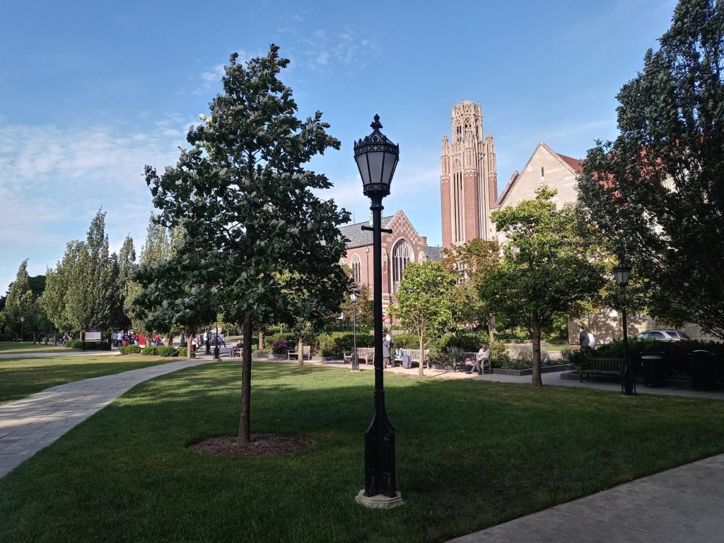 Chicago Homes For Sale 6 hyde park